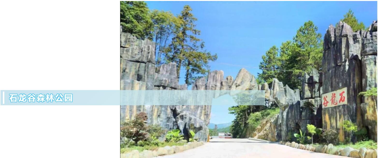 金百利·(中国区)有限公司官网
