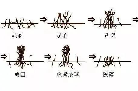 金百利·(中国区)有限公司官网