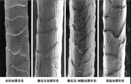 金百利·(中国区)有限公司官网